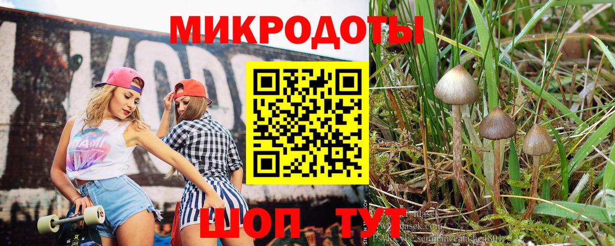 Ипатово  Псилоцибиновые грибы Psilocybine cubensis  Вход с VPN 